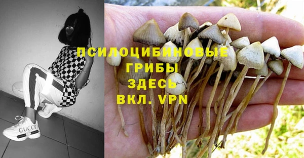 не бодяженный Абинск