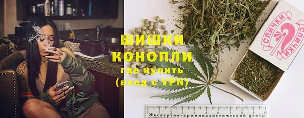индика Алексеевка