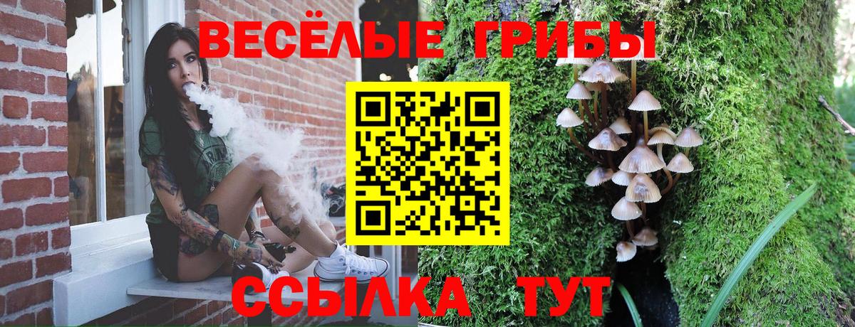 Ртищево  Псилоцибиновые грибы MAGIC MUSHROOMS  Вход с VPN  Псилоцибиновые грибы ЛСД 