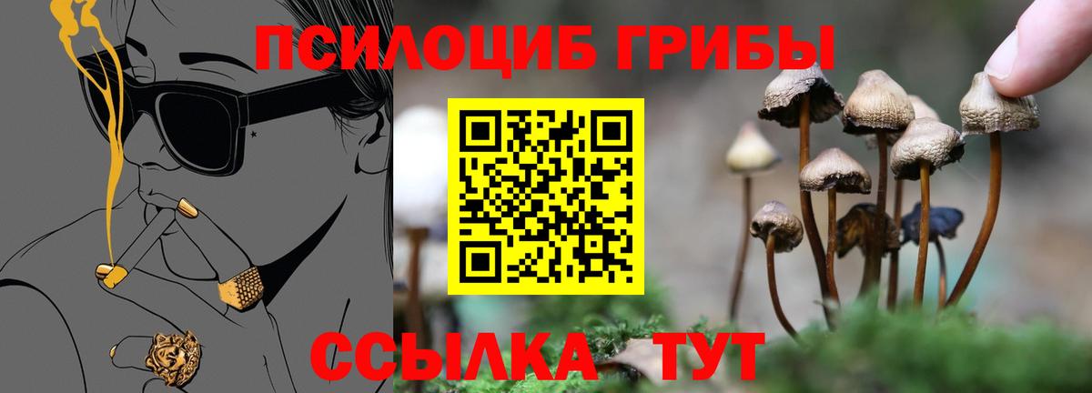 Галлюциногенные грибы Cubensis Ртищево
