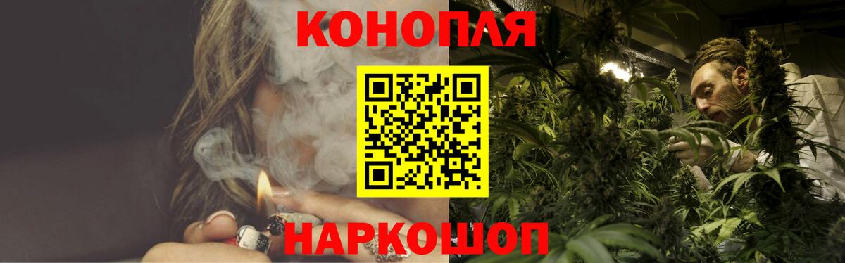 Бошки Шишки марихуана Ртищево
